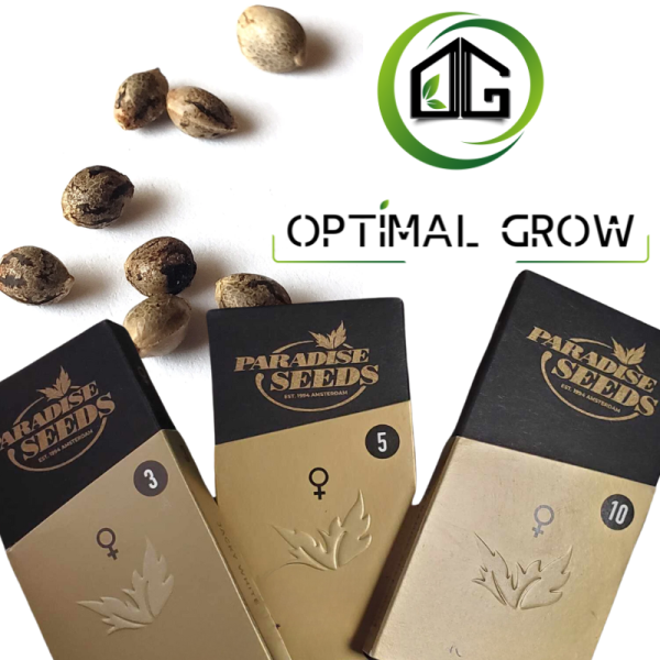Apricot Candy Paradise Seeds