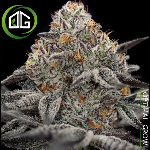 Oreoz de Super Strains