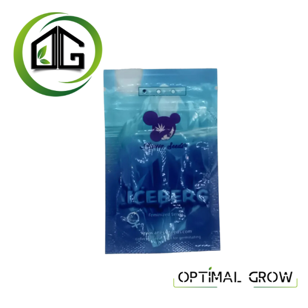 Iceberg de Anesia Seeds