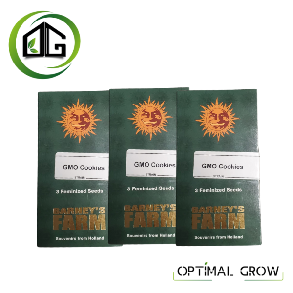 GMO Cookies de Barney’s Farm