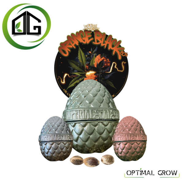 Orange Black de Imperial Seal Seeds