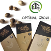 Doppler de Paradise Seeds