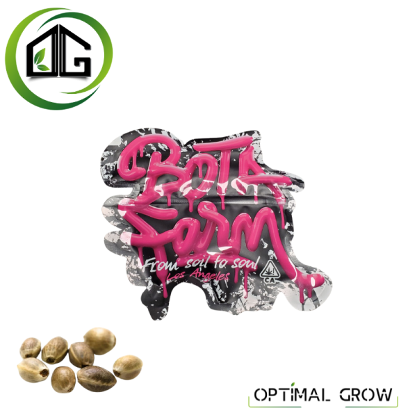 G-Whiz. FEM de Botafarm