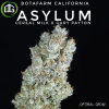 Asylum de Botafarm