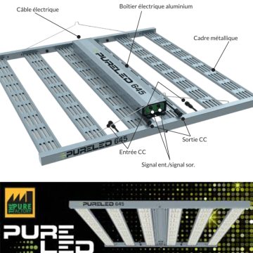 Pure LED 645W