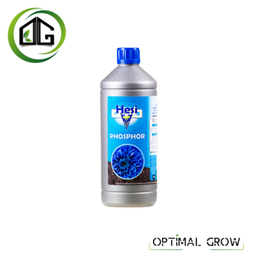 HESI Phosphor