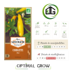Courgette Jaune AB