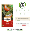 Tomate Noire de Crimée AB
