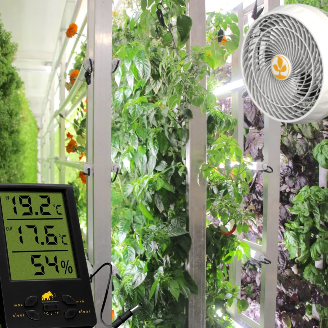 Choisir la Chambre de Culture Idéale pour Vos Plantes Intérieures