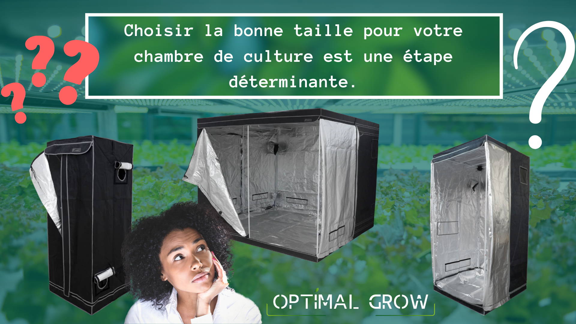 Choisir la Chambre de Culture Idéale pour Vos Plantes Intérieures